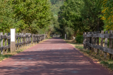 Pedestrian and cycle eco path, asphalt pavement, background and vegetation