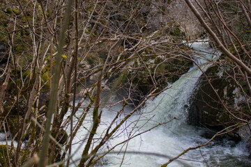 Rio y piedras entre las verdes montañas