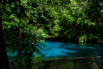 Blue or emerald pool in National park Sa Morakot, Krabi, Thailand.