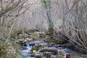 Rio y piedras entre las verdes montañas