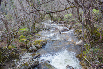 Rio y piedras entre las verdes montañas