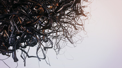  Abstract Art &bull; DYSTOPISCHE &Auml;STHETIK &bull; Fraktale Grafik Serie: Organisches Design, Dynamische fraktale Formen mit nat&uuml;rlichen Texturen vor hellem Hintergrund ⁞ 3D Render Illustration