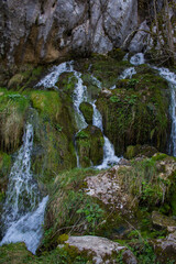 Rio y piedras entre las verdes montañas