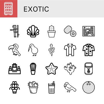 exotic simple icons set