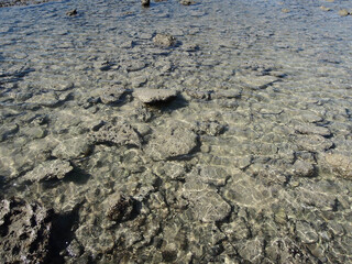 Underwater sea stones near coastline. Picture taken in Rishehr, southern suburb of sea port Bushehr, located on Persian Gulf, Iran
