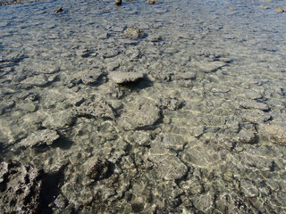 Underwater sea stones near coastline. Picture taken in Rishehr, southern suburb of sea port Bushehr, located on Persian Gulf, Iran