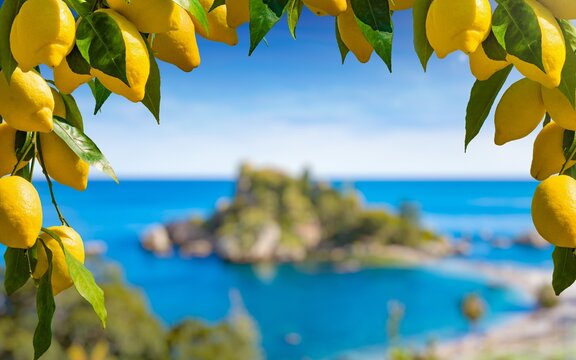 Bunches of fresh yellow ripe lemons with green leaves. Isola Bella located near Taormina, Sicily in blurred background.