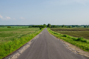 Fototapeta na wymiar Сountry road in the countryside. Asphalt road goes into the distance