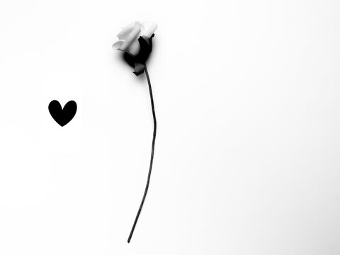 Black heart and white rose against white background