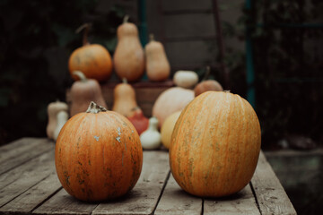 Orange halloween pumpkins on a wooden background, holiday decoration. Halloween mood.