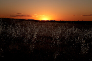 atardedecer