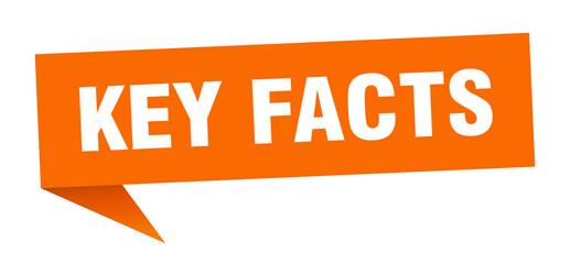 key facts banner. key facts speech bubble. key facts sign