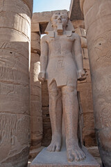 Statue and hieroglyphic carvings at an ancient egyptian temple