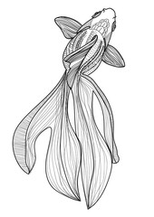 Goldfish. Meditative coloring, doodling coloring. Patterns, stripes, dots.