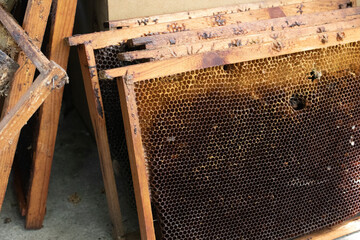 used honeycombs. houses of bees - hive. beekeeping. beekeeper. apiculture concept. High quality...