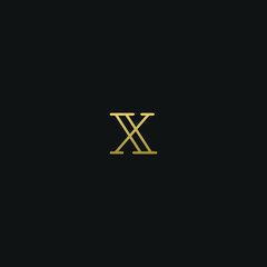 Obraz premium Creative modern elegant trendy unique artistic X XX initial based letter icon logo.