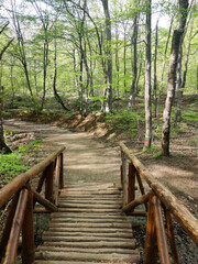 Spring landscape of Vitosha Mountain, Bulgaria
