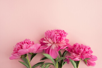 Pink peony flowers on pastel background. Greeting card, decorative floral composition. Top view, flat lay, copy space