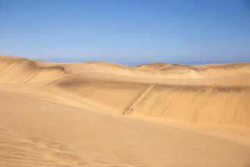 Fototapeta na wymiar sand dunes against clear blue sky in Maspalomas, Gran Canaria