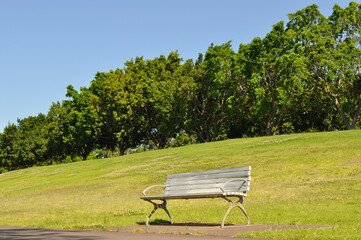 公園の椅子