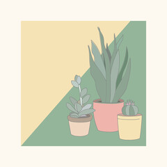 Vector illustration of colorful home plants of succulents and cactus plants in a pottery garden. For design, greeting cards, gift paper, posters indoor plants.