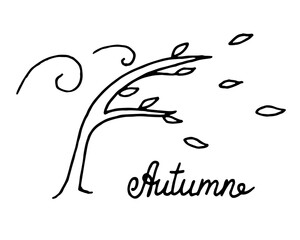 Hand drawn autumn tree with flying leaves. Autumn landscape, falling leaves. Simple doodle vector