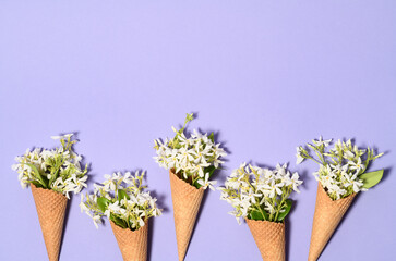 Ice cream cones with jasmine flowers