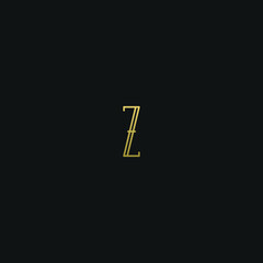 Creative modern elegant trendy unique artistic Z ZZ initial based letter icon logo.