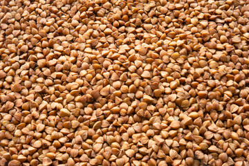 Buckwheat background. Focus all over the frame.