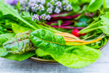 Raw seasonal vegetables for salad on a wooden background. Vegetarian food.