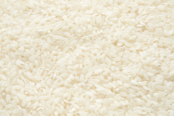 Short round grain rice background. Focus all over the frame.