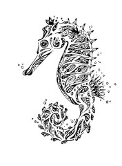seahorse graphic arts line  abstraction  © kolibria