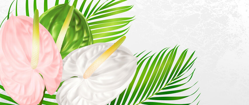 Gift certificate with tropical exotic realistic asian flower bouquet - Anthurium andraeanum green palm branch. Background for wedding design, women card, 8 March invite, funeral thank you card