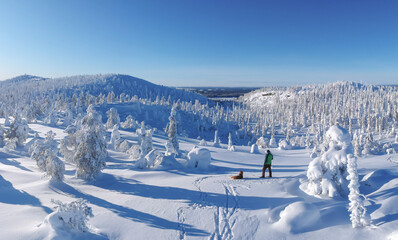 Winter landscape with snow and hikers