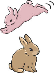 pink rabbit bunny illustration vector