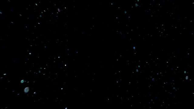 Dust particles. Motion performed by small particles.