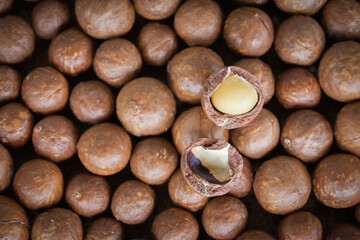 Organic Macadamia Bean Background