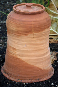 Pottery Rhubarb Forcing Jar