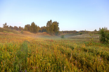 Fototapeta premium Beautiful authentic morning landscape with a slight mist in the meadow, sunlit.