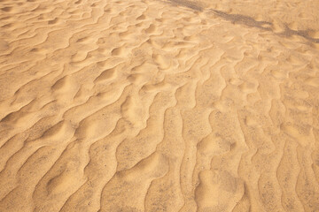 Fototapeta na wymiar textured sand dune in Maspalomas, Gran Canaria