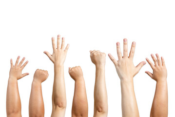 arms of the fist and the hand of the hand and the color of the skin