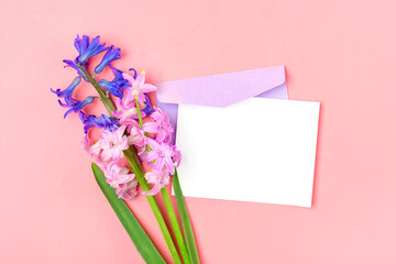 Bouquet of hyacinths flowers, lilac envelope and white note paper on pink background Flat lay Top view copy space Mock up Sesonal, eduction concept Floral holiday card