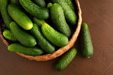 A lot of fresh cucumbers in a basket. Vegetables in the form of cucumbers in a wicker basket not a brown wooden background. A bunch of cucumbers is a crop.