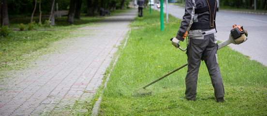 A wide view of the Worker in protective clothing and gloves with a lawn mower in his hands is walking along the lawn nearby along the walking path. A man mows grass with dandelions next to the roadway