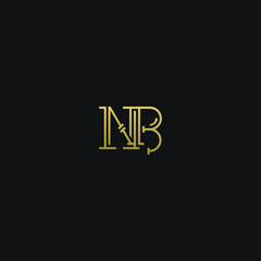 Creative modern elegant trendy unique artistic NB BN N B initial based letter icon logo.