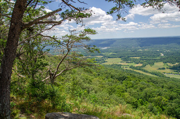 view from the top of the hill