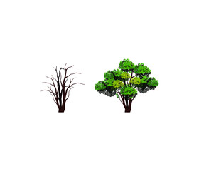 Obraz premium Stages of tree life, collection of leafy and leafless trees, vector isolated on white.