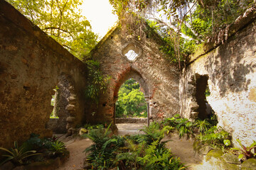 Old chapel ruins in a forest covered by vegetation