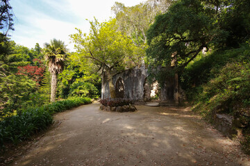 Fototapeta premium Old chapel ruins in a forest covered by vegetation. Sintra Portugal