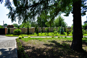 decorative trees on the lawn near a brick fence, footpath
